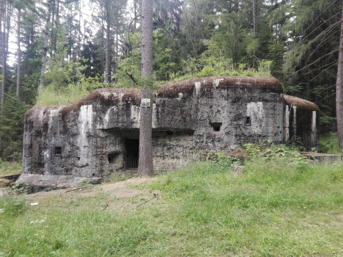 Penzion La Baita Branná Exterior foto