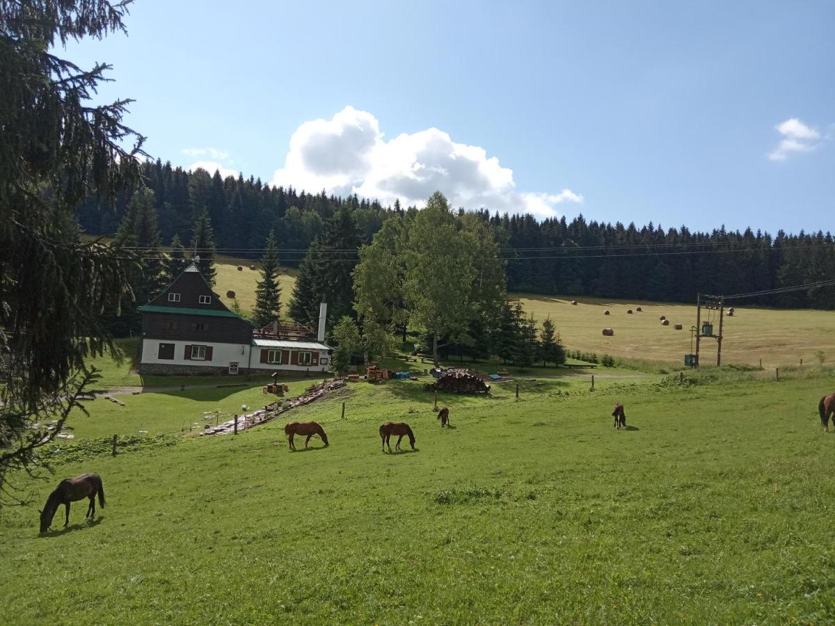 Penzion La Baita Branná Exterior foto